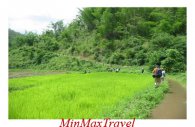 Chiang Mai Escape Tour