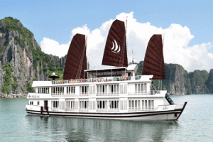 Pelican Cruise
