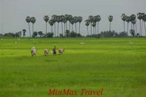 Cambodia Emotion