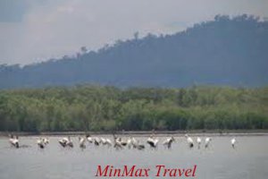  Angkor Trekking To Sihanouk Ville 8 Days / 7 Nights