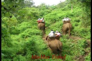 Mondulkiri Trekking 4 Days / 3 Nights