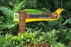 Sarawak Wildlife Explore
