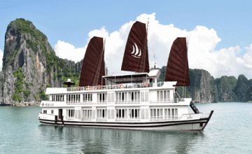 Pelican Cruise