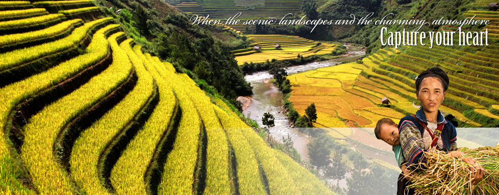 Vietnam Tours - Vietnam Tour - Vietnam Travel Agency - Vietnam Travel Company