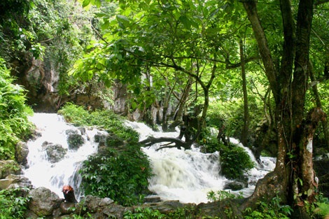Phuong Hoang Moutain - Phuong Hoang cave -  Mo Ga Stream