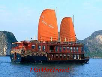 Violet Cruise