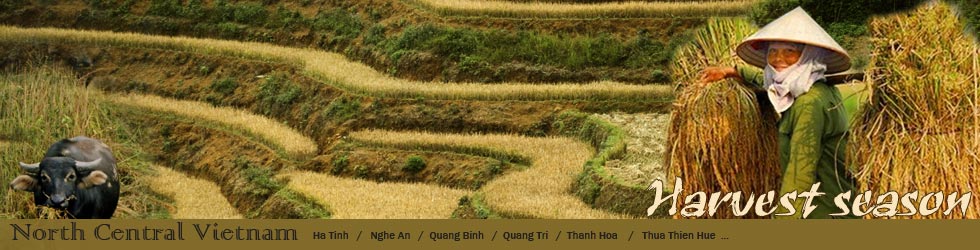 notth central vietnam