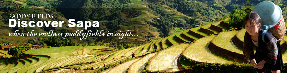 Minmax Travel