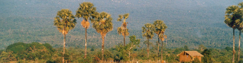 Lanscape of cambodia