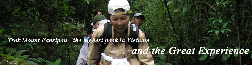 Fansipang - And the Great Experience