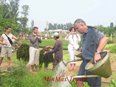Tra Que Vegetable Village