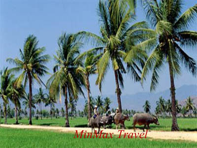 Beautiful Delta Scenery 