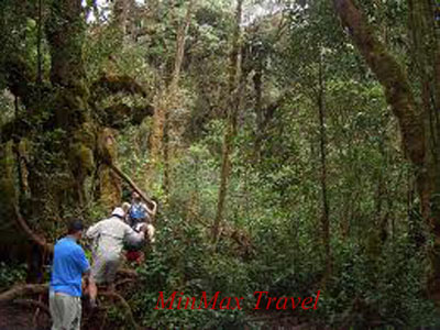 Trek to Kroeung Terrtory in Rattannakiri