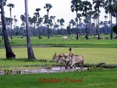 Visit Countryside in Siem Reap