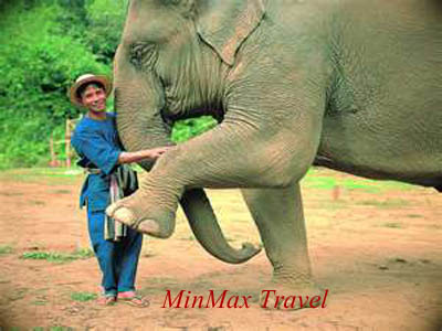 Elephant Camp