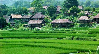 Mai Chau, Cuc Phuong & Tam Coc Motorcycle Tour 