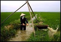 Viet Nam Tour in Colors