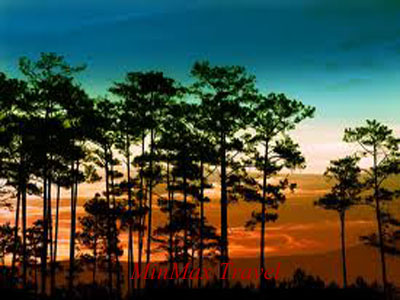 Exploring Viet Nam Tour 
