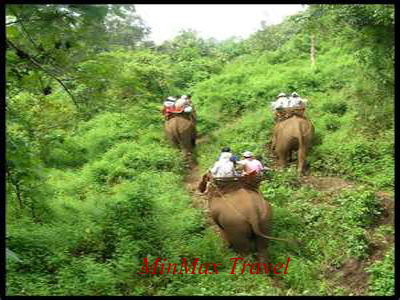 Cambodia Discovery