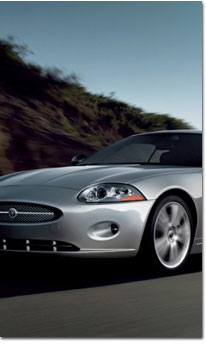 Cars for rent
