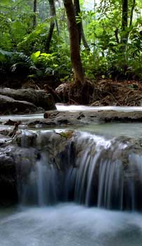 Laos