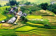 Sapa And Halong Holiday