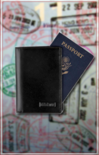 Visa Passport