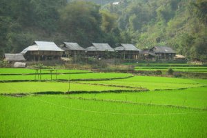  Mai Chau Tour