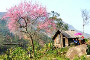 Hanoi - Halong - Sapa Superior Tour 