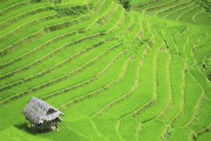 Hanoi - Halong - Sapa Deluxe Tour 