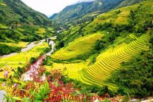 Glimpse Of Sapa & Bac Ha Market