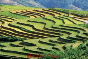 Glimpse Of Sapa & Bac Ha Market