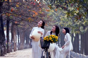 Essence Of Vietnam Tour