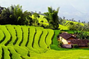  Mai Chau Tour