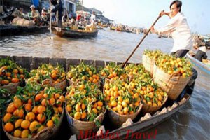 Mekong Delta Tour