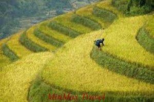 Sapa Homestay Tour